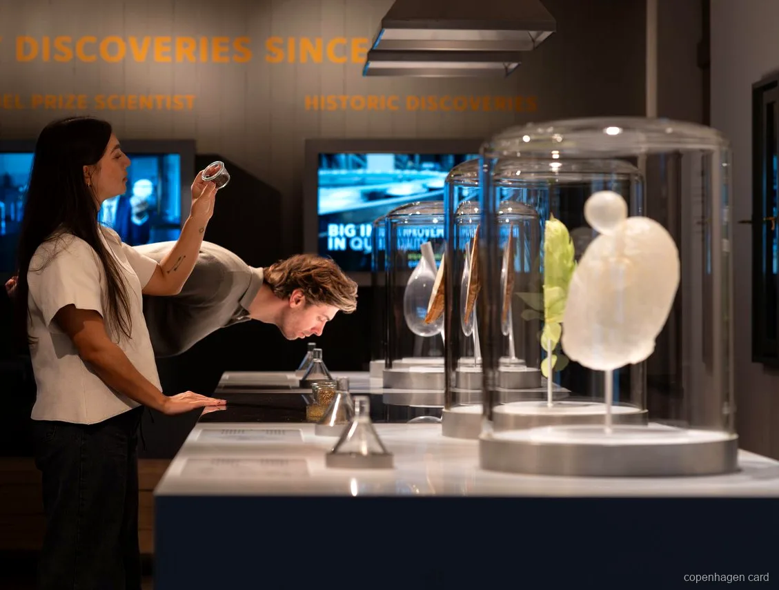Entrada dos ingressos do Carlsberg Experience na cervejaria histórica de Copenhague